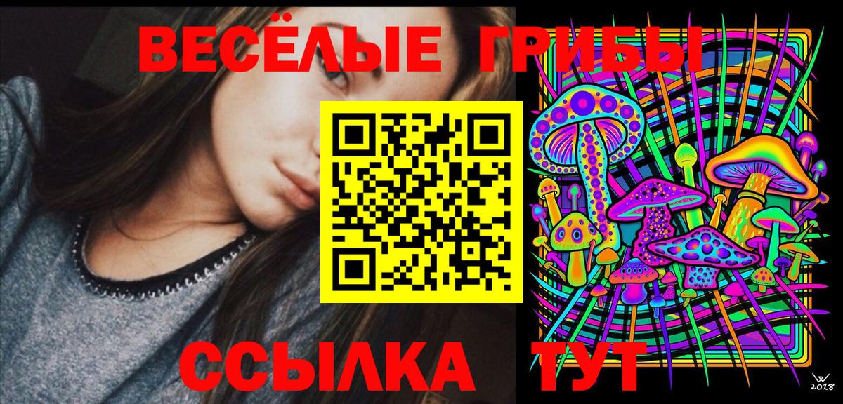 Одинцово  Галлюциногенные грибы Magic Shrooms  Вход с VPN  Галлюциногенные грибы GOLDEN TEACHER 